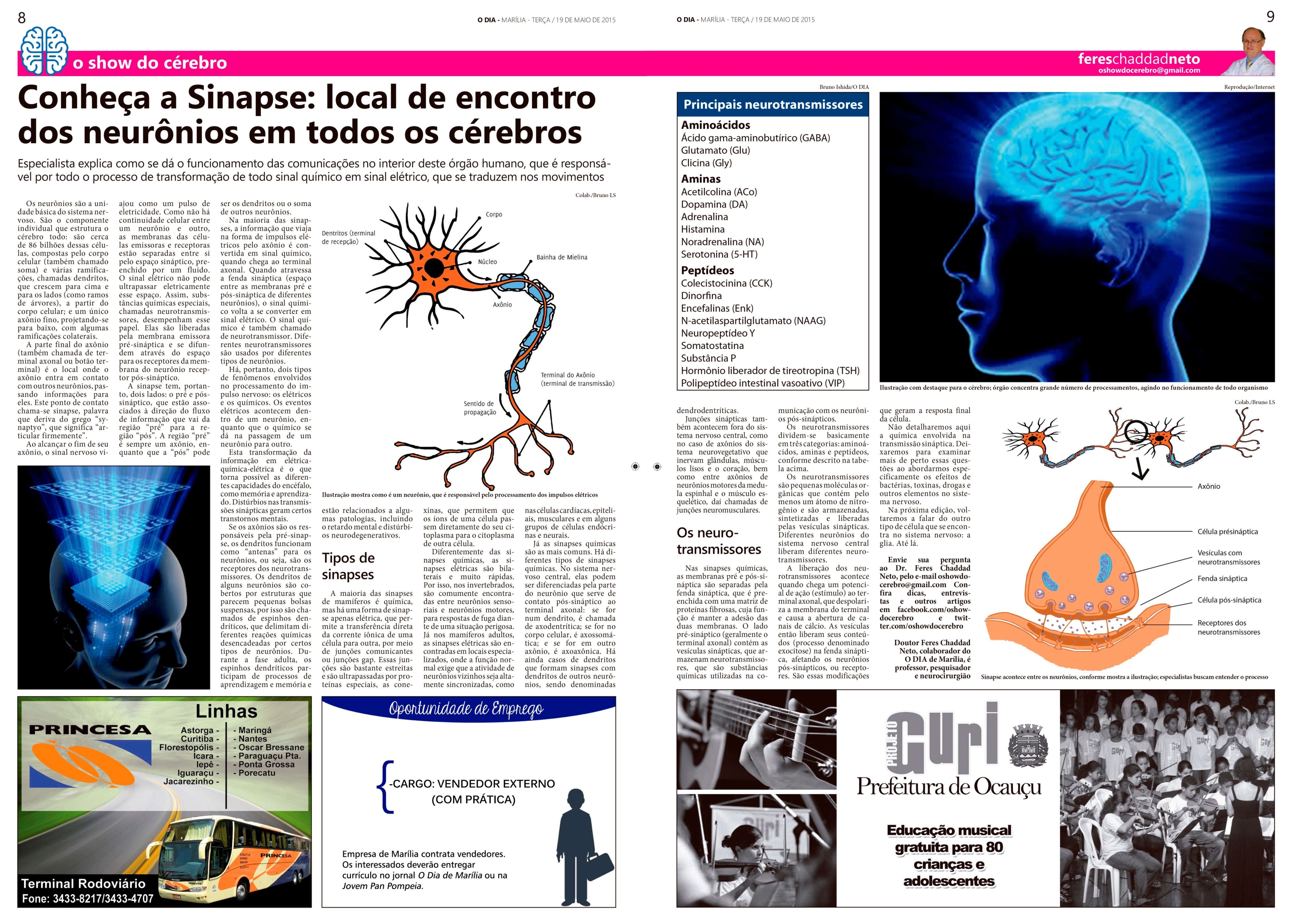 Coluna O Show do Cérebro no jornal O Dia - 19/05/2015