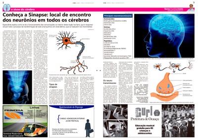 Coluna O Show do Cérebro no jornal O Dia - 19/05/2015