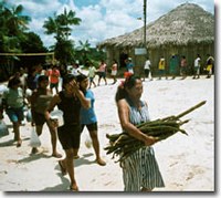 5 de setembro: Dia Mundial da Amazônia