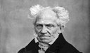 156 anos sem Schopenhauer