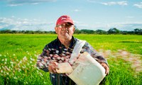 Dia do Agricultor: 25% off em obras sobre o tema