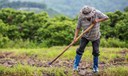 Dia do Agricultor tem 25% off em livros sobre o tema