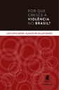 Estudo esmiúça por que cresce a violência no Brasil