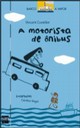 A motorista de ônibus