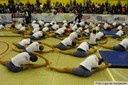 Festival de ginástica 2